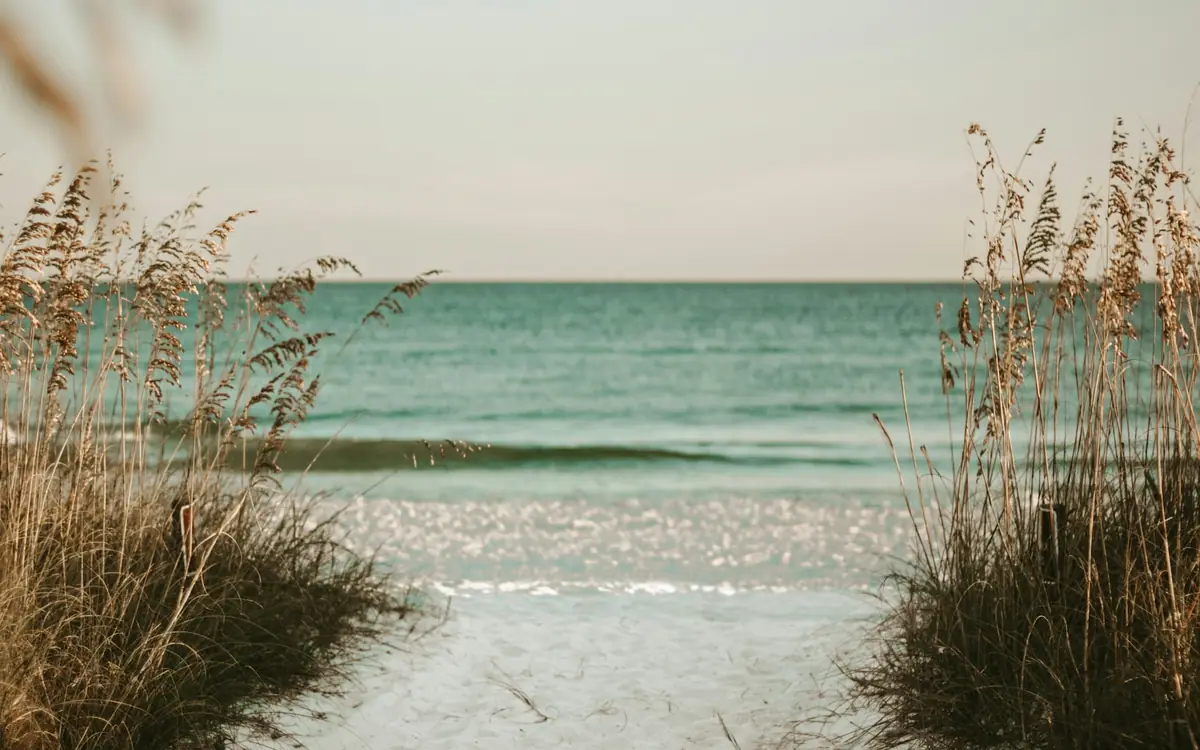 Sea oats framing a path to white sand and green Gulf water in Destin